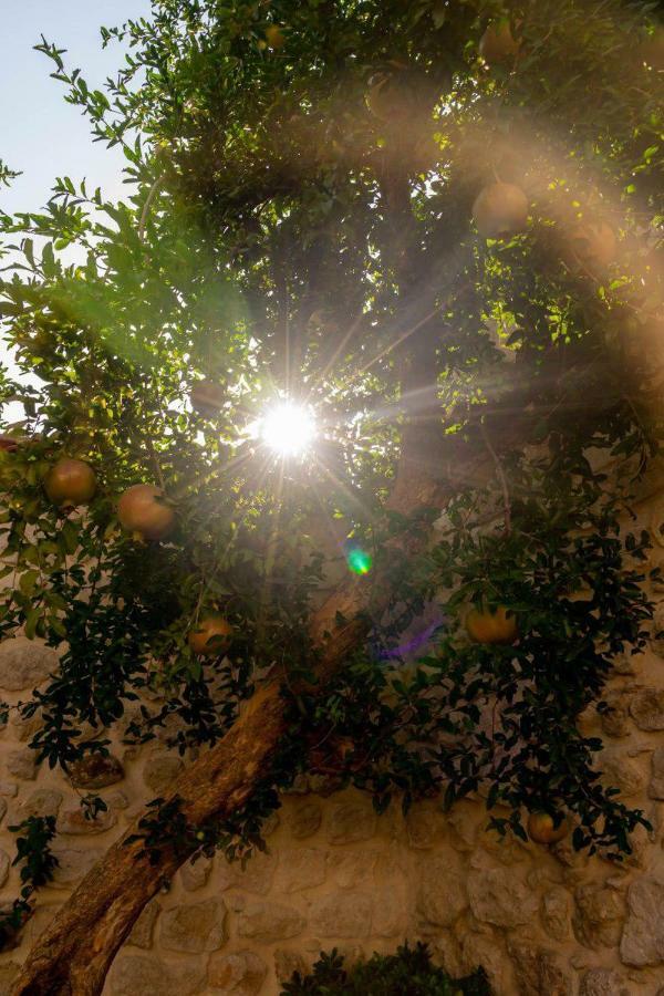 Yesil Ev Cafe & Boutique Hotel HATAY Eksteriør billede
